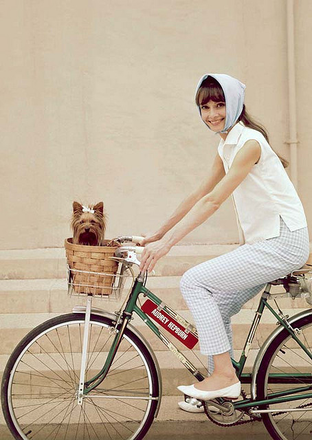 audrey-hepburn-basket-bike-cute-dog-Favim.com-178937