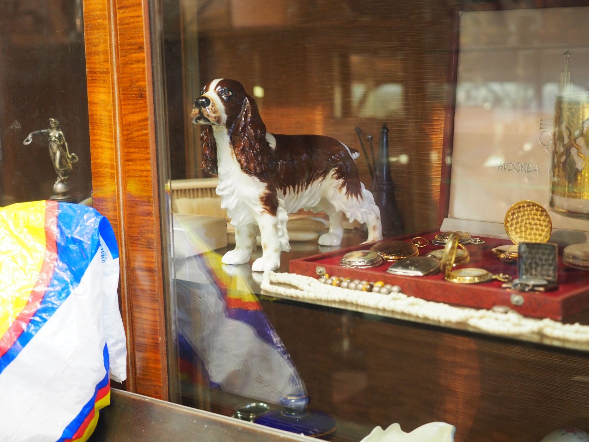 A springer spaniel encased in glass, Athens.