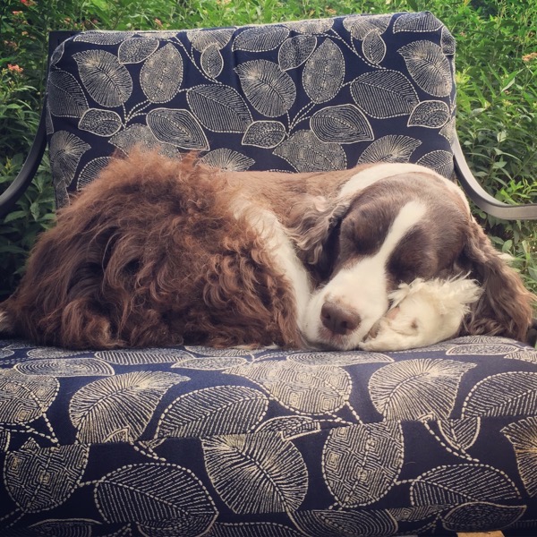 DD18B316-FB1B-4A08-90CC-F92D9533CC0C.jpg DD18B316 FB1B 4A08 90CC F92D9533CC0C