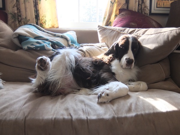 DSCF0334.JPG DSCF0334