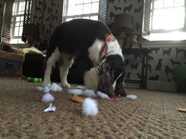 IMG_0410.JPG IMG 0410