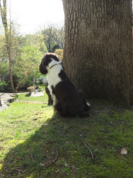 IMG_0631.JPG IMG 0631