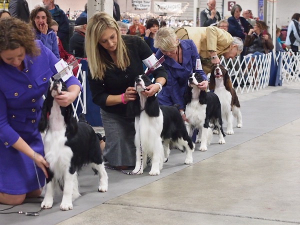 PB231036.JPG PB231036